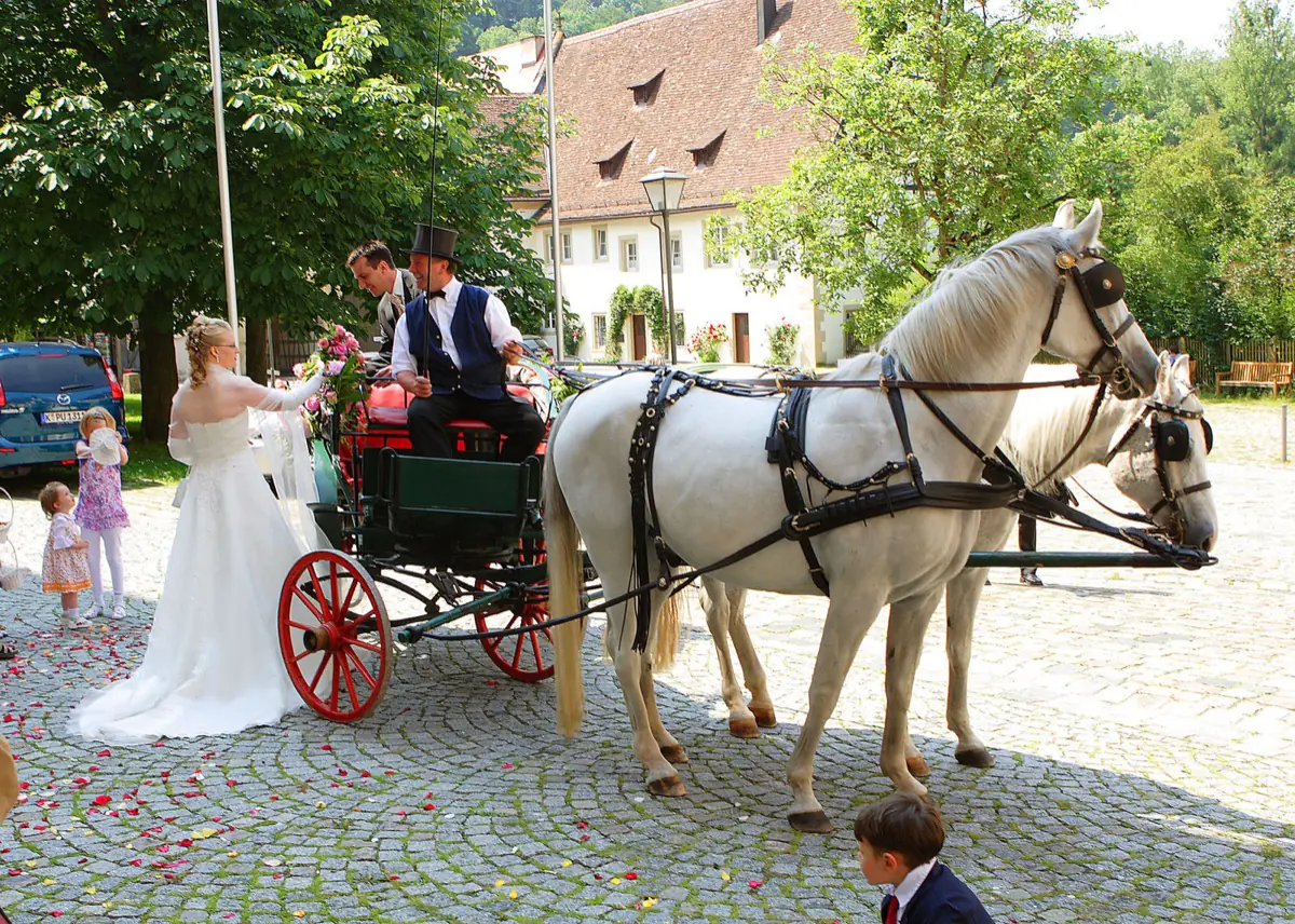 Brautpaar im Park unter alten Bäumen